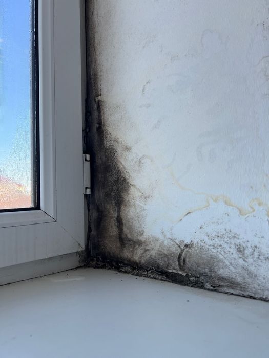 Вентиляция Вашего дома офиса