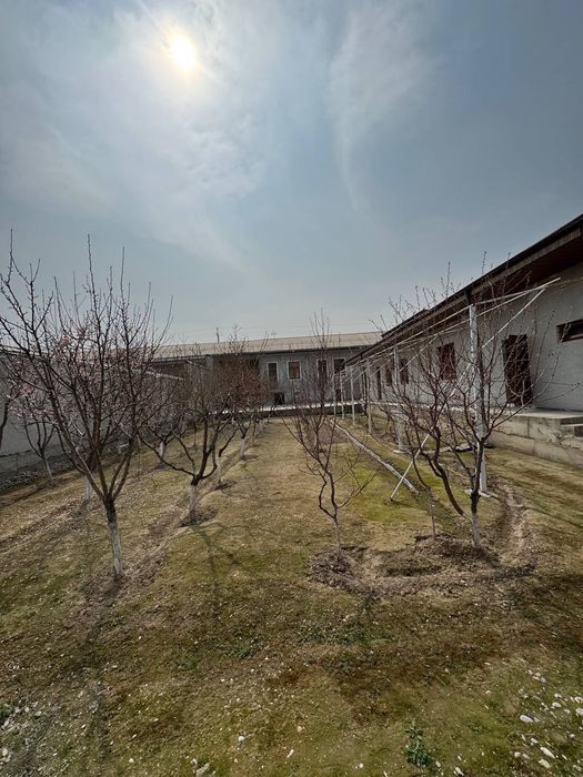 Ховли уй участка