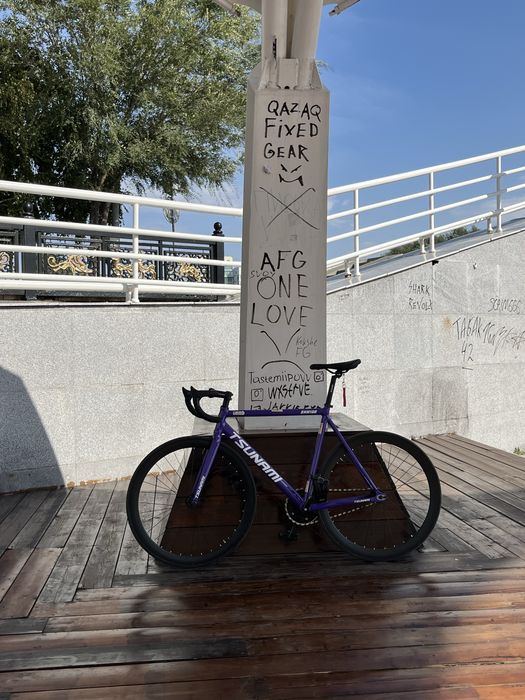 Tsunami Snm 100 фикс