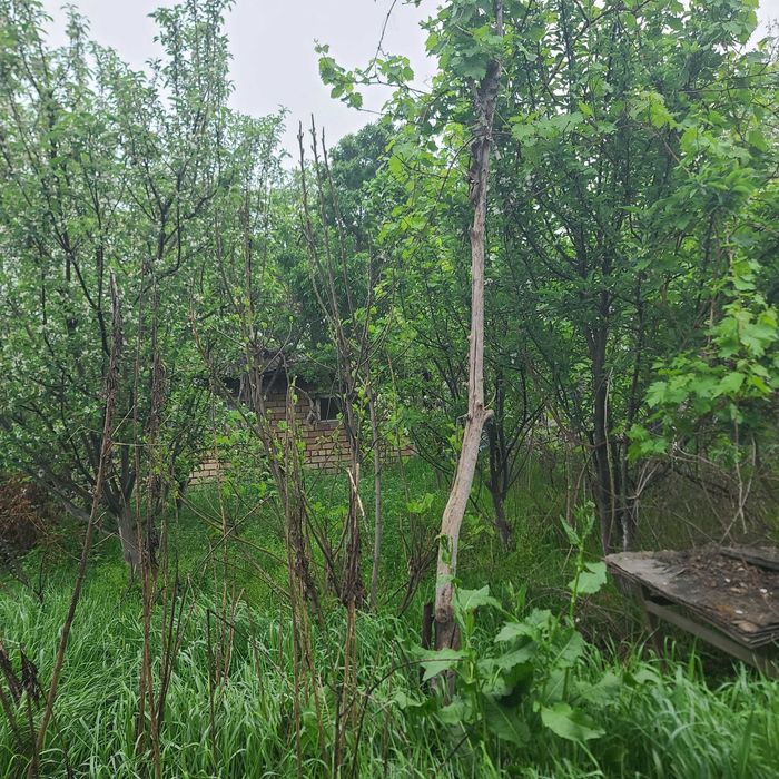 Продаётся дача-ферма 24 соток, dacha-ferma, 24 sotix sotiladi