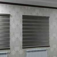 Жалюзи день-ночь