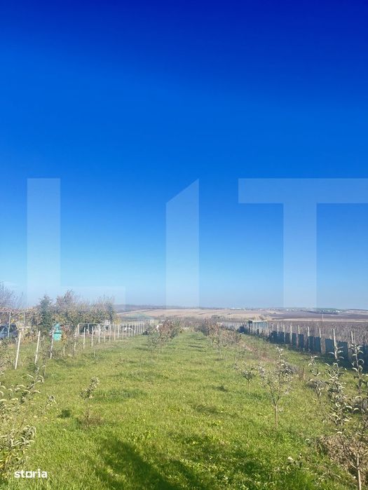 DE VANZARE — Teren Intravilan | Botosani, Oraseni Deal