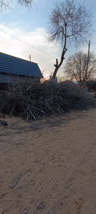 Отдам даром дрова