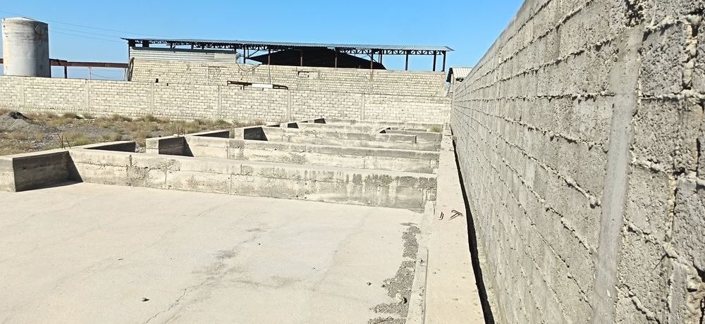saonat zinasida 30sotix yer sotiladi
