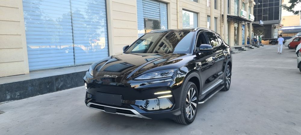 BYD Chempion кора