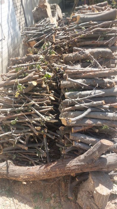 Tayor utinlar sotiladi