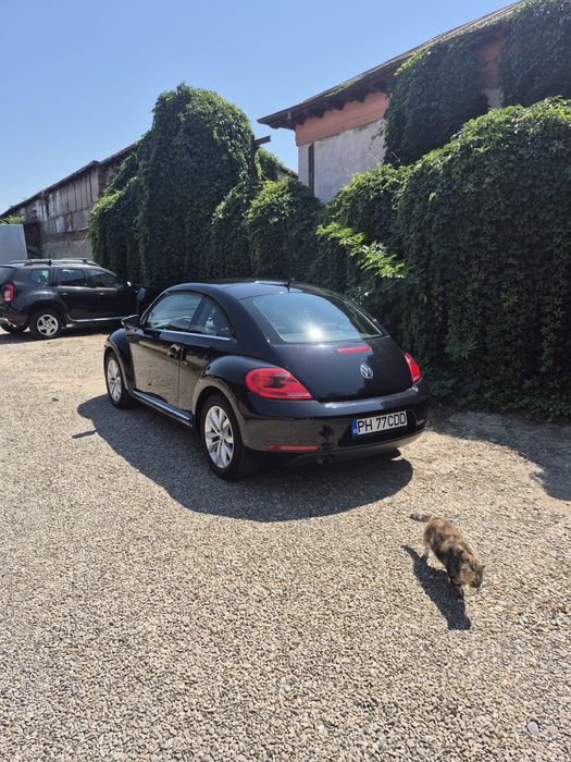 Vw Beetle an 2012