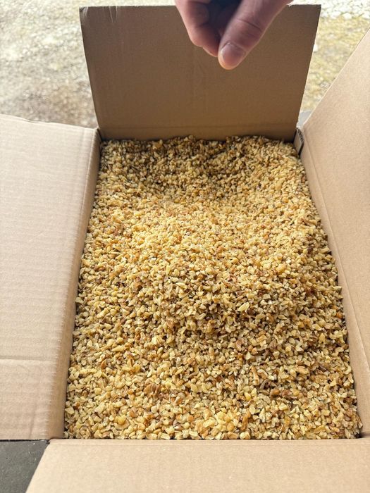 Vând miez de nuca 2024