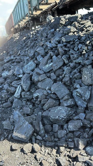 Уголь. Рапид. Шубаркуль. Кузнецкий.