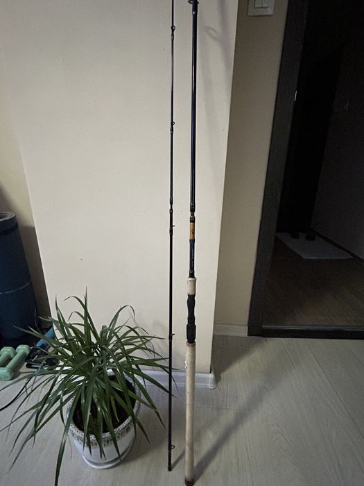 Daiwa Laguna 20-60 gr - 3m