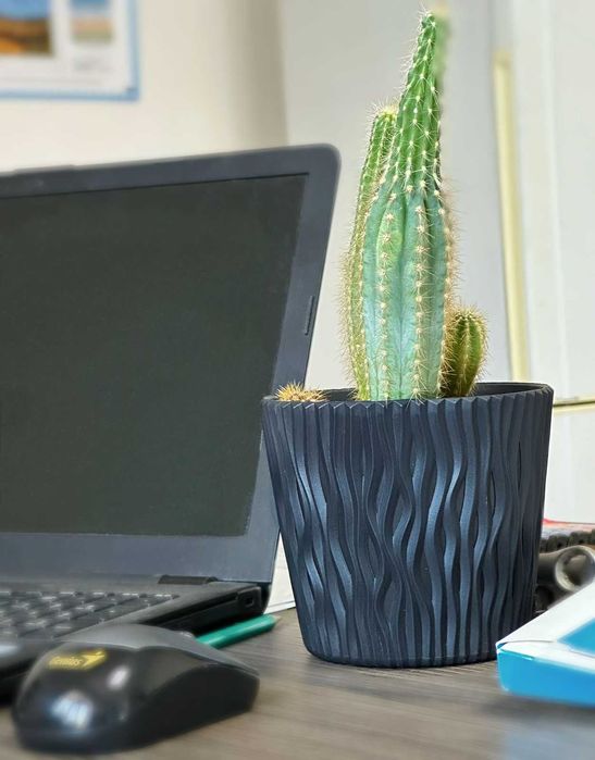 Кашпо и горшки в Астане