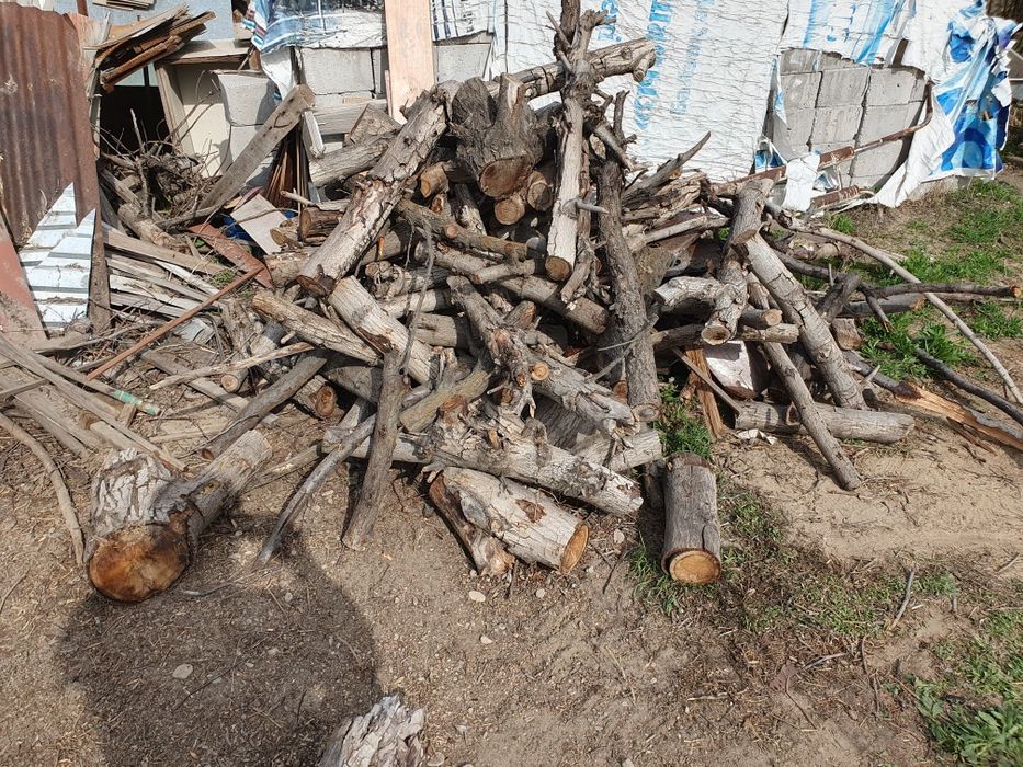Дрова разные ветки пень