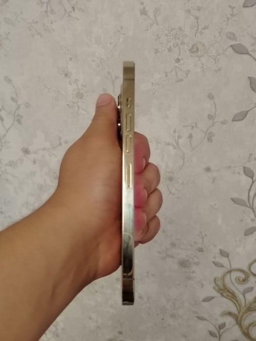 Iphone 13 pro max gold
