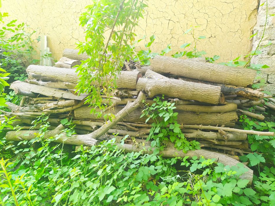 Утин сотилади! Otin bor sotiladi