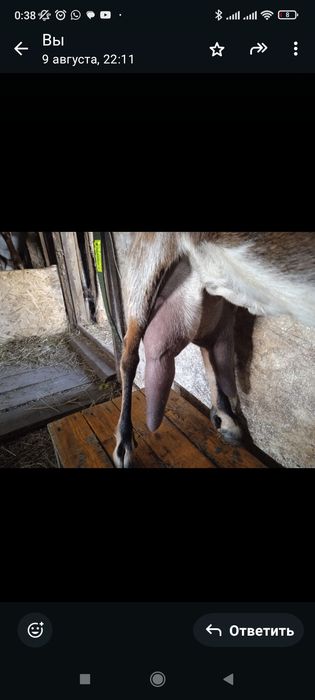 Продам или обменяю!