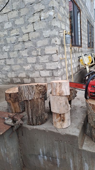 Спил дерева тал кесу 24/7.