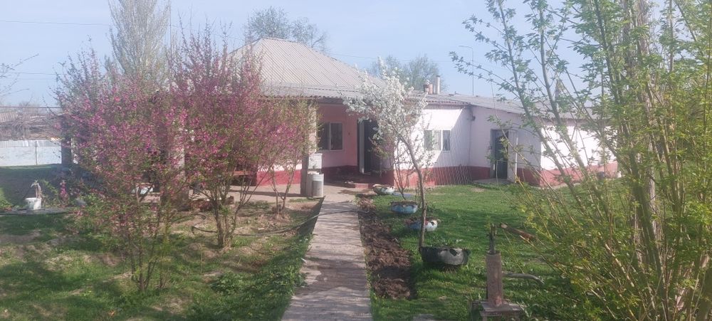 10 млн. Жер үй, Төреарық ауылы