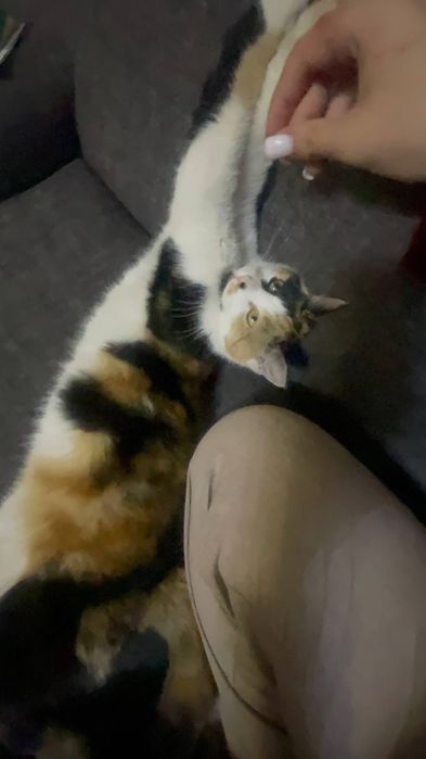 Мушукча хадяга яхши инсонларга