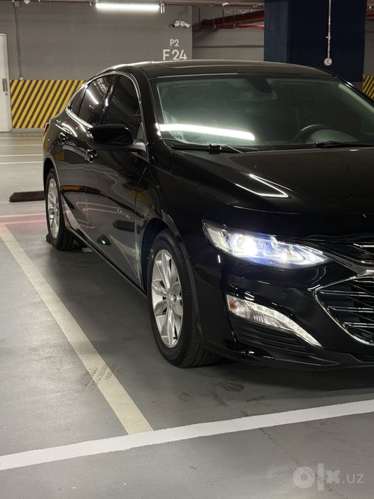 MALIBU 2 Primier 2022
