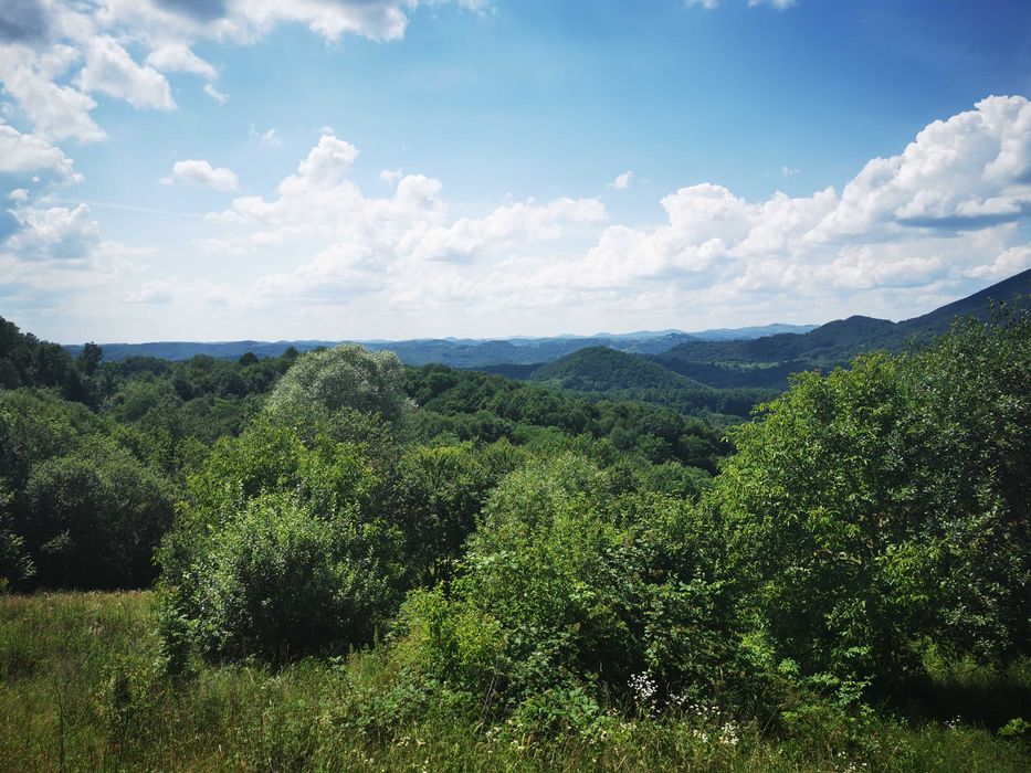 Proprietate de vânzare în sat Barbura, județul Hunedoara – 42.500 mp