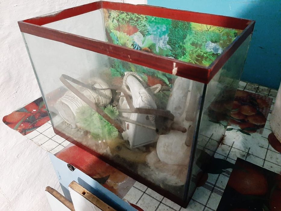 Аквариумы разные