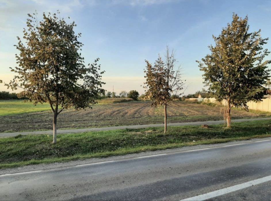Teren intravilan judetul Calarasi, comuna Gradistea 4893 mp