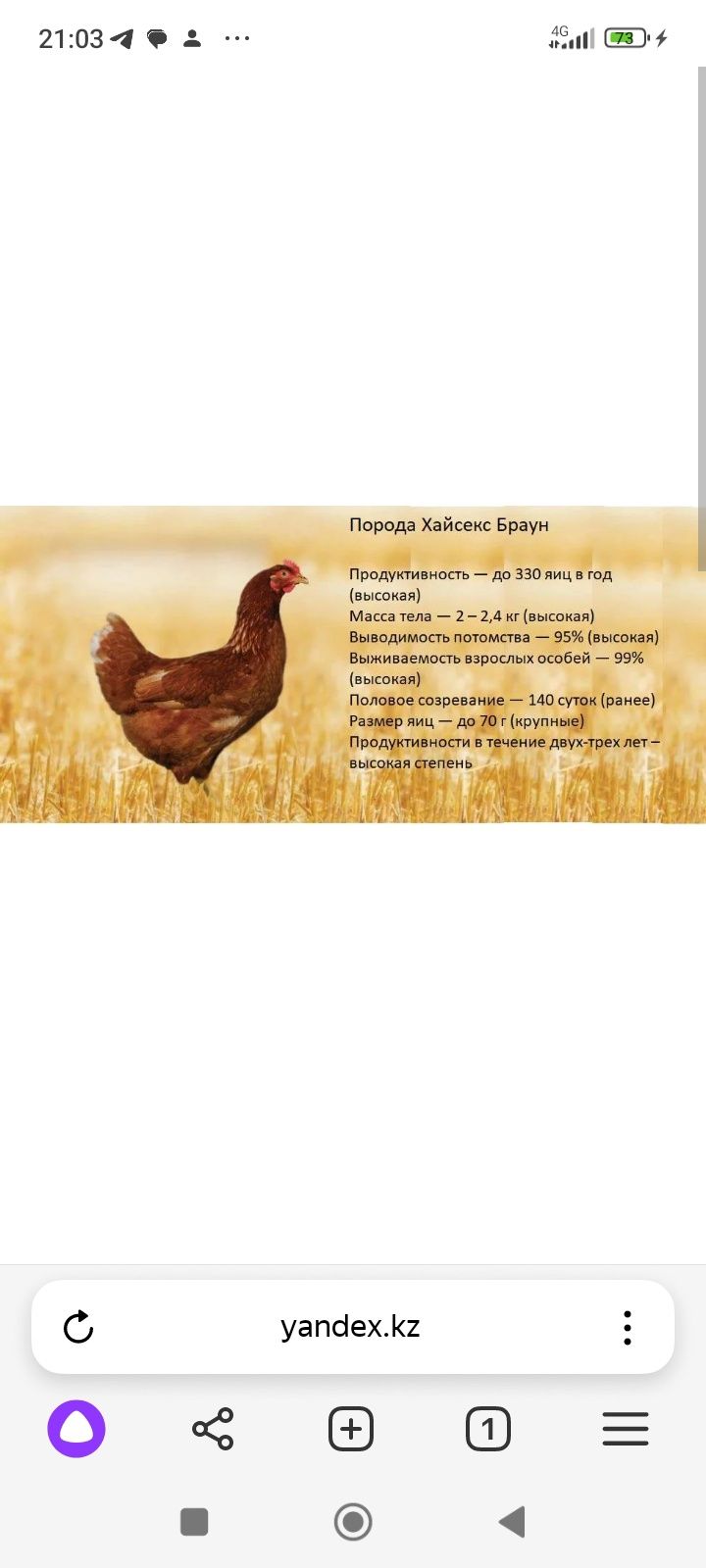 Laying hens. Hens. Tauyk. Hisex brown. Loman Brown Shipping: 1 ₸ — Куры ivanovo-trikotazh.ru