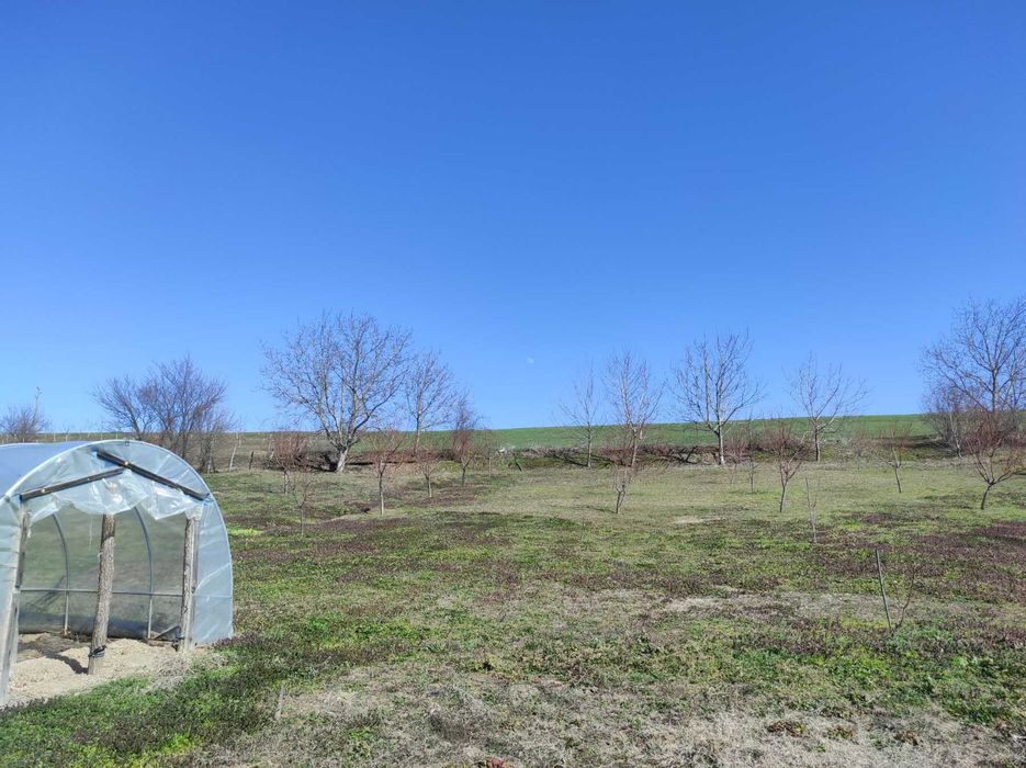 Продава се Къща в с. Казимир, Област Силистра - 2099 кв.м за 12 €/кв.м - Снимка #6