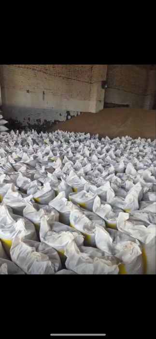 Ячмень, пшеница, зерноотход, овес