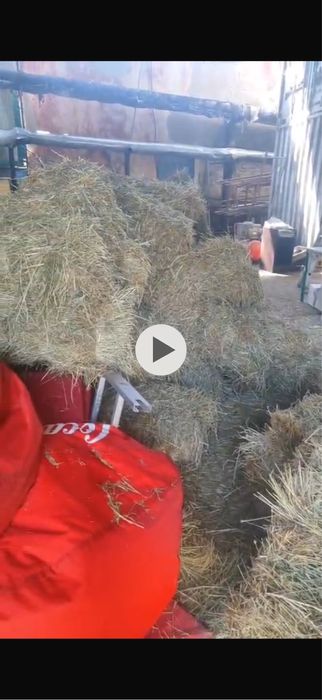 Сено , тюки сена