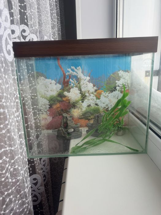 Аквариум 20 л с декором – готов к запуску!