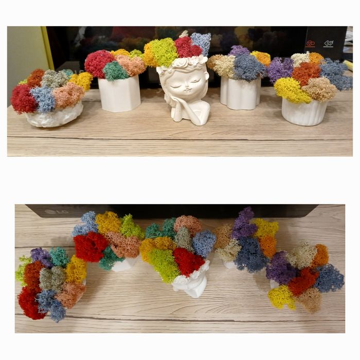 Кашпи със скандинавски мъх