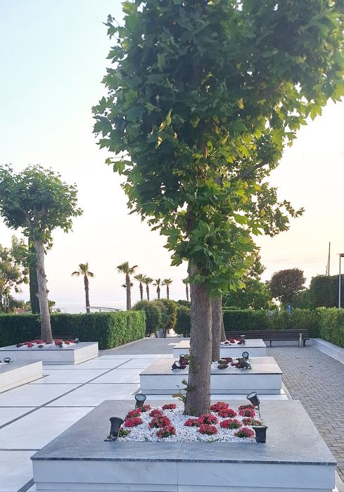 Снежно Бели камъчета(чакълени)за декорация и украса на вашата градина