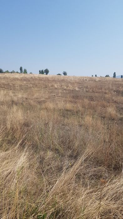 Продава се Парцел в Кюстендил, Бузлуджа - 3000 кв.м за 2 €/кв.м - Снимка #1