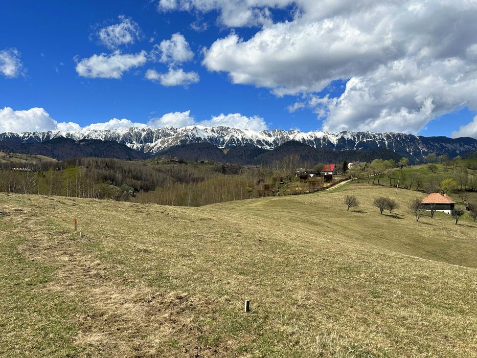 Teren Pestera 1550 mp, aproape de  Bran Moieciu