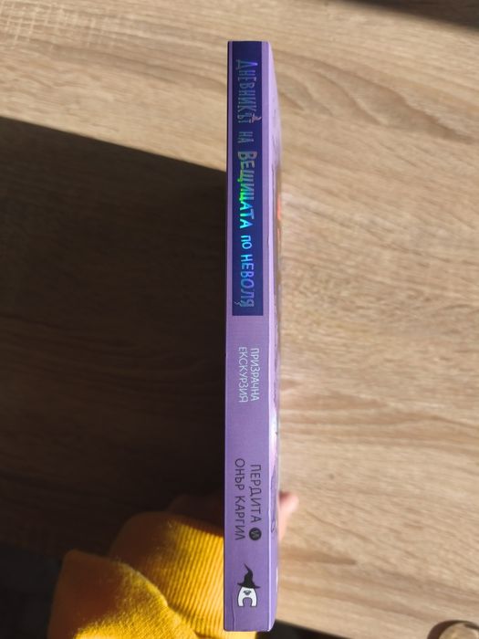 Трета книга от поредицата Дневникът на вещицата по неволя призрачна екскурзия