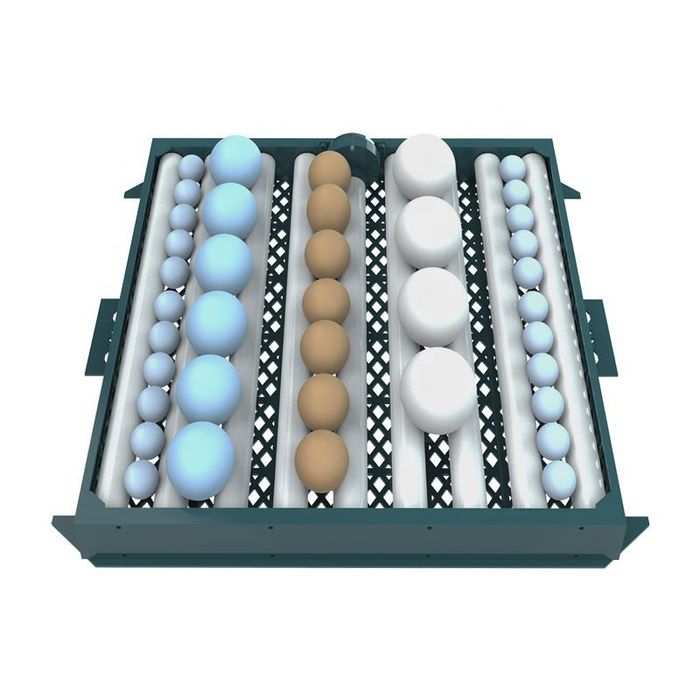 Inkubator 128 talik. Инкубатор в наличии