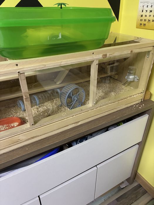 Hamsteri si cusca completa spatioasa