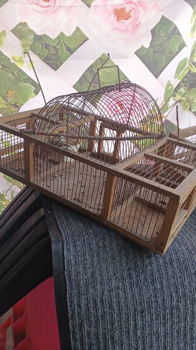 Клетки для ловли птиц