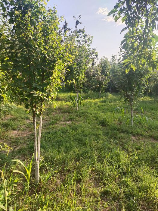 Дом продается курорт