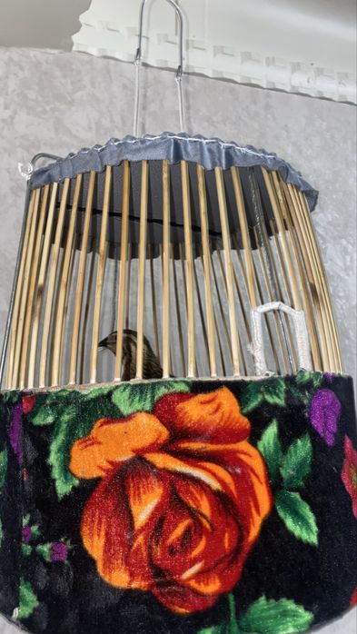 Bedana Italia sayroqi