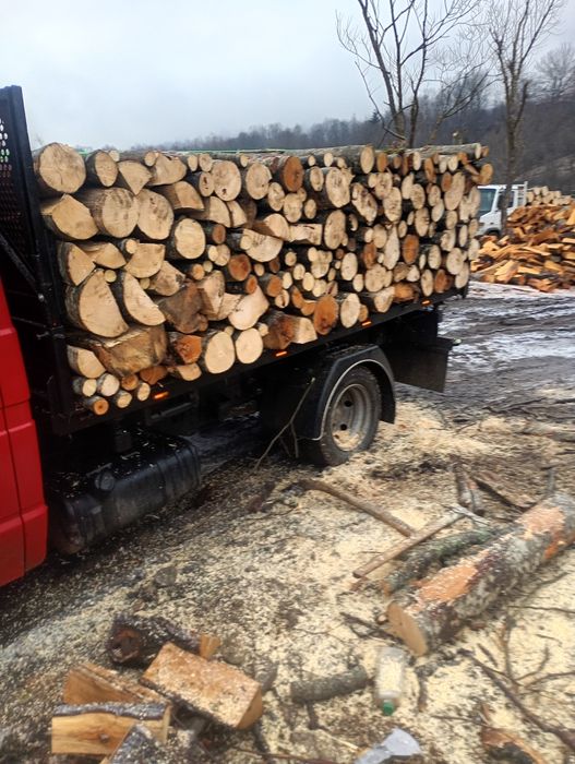 LEMNE DE FAG. Cumpără acum