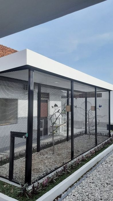 zakazga qushlar uchun valer