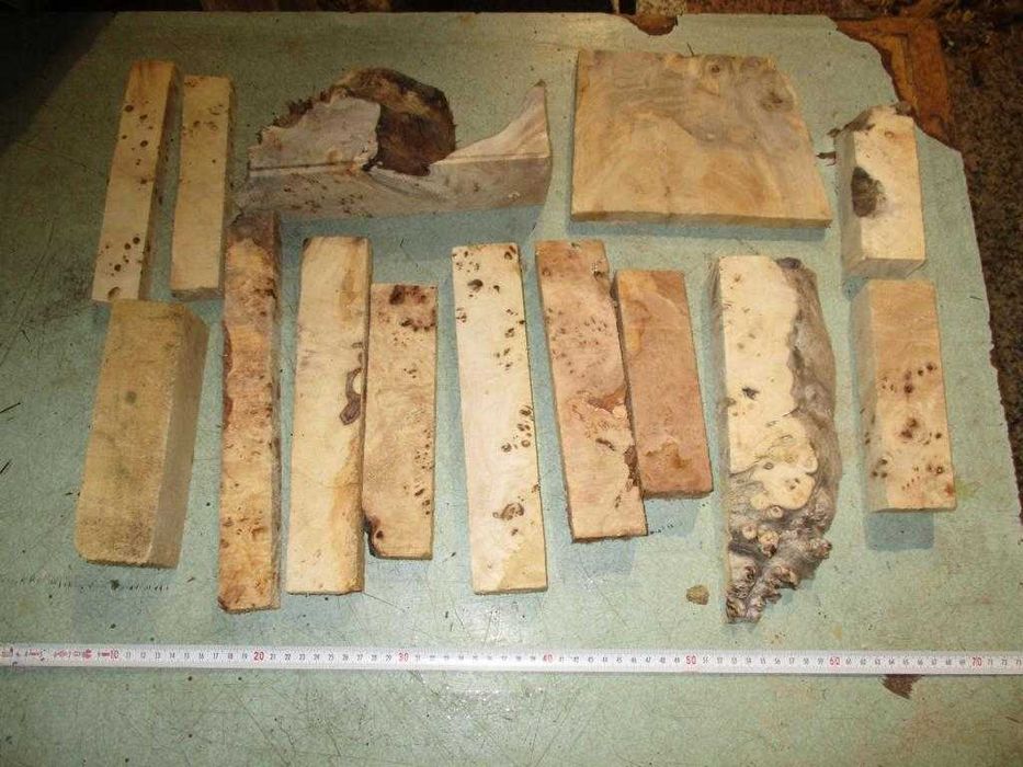 Подарявам трупчета от туморна топола