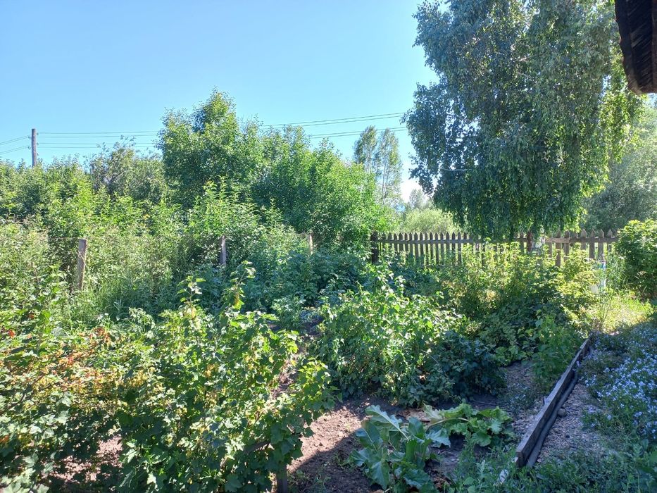 Продам дом в с. Быструха