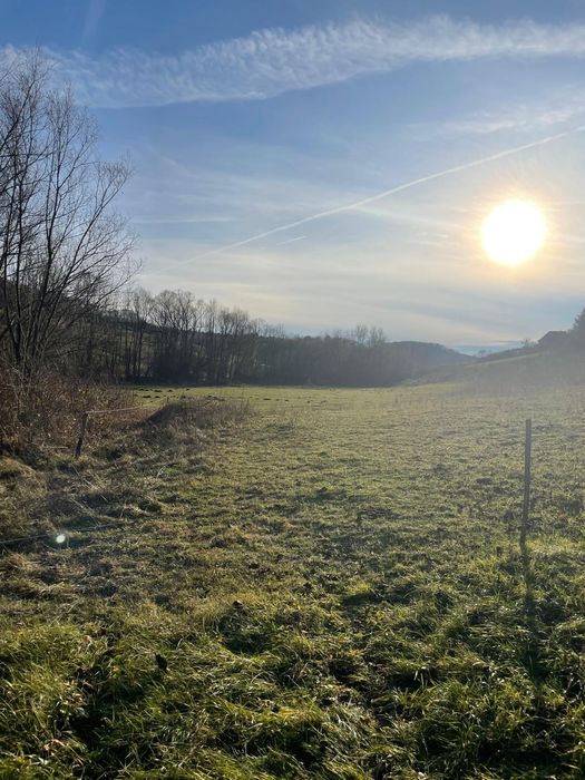 Vând teren 4200 mp ideal pt casa de vacanta  în Varciorog