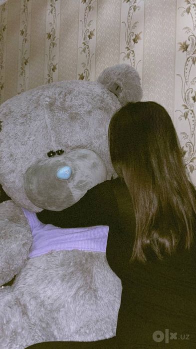 TEDDY айик сотилад йенги селафан