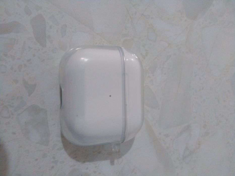 Барсетка және эрподс