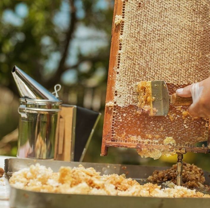 Продам свежий мед 2025г