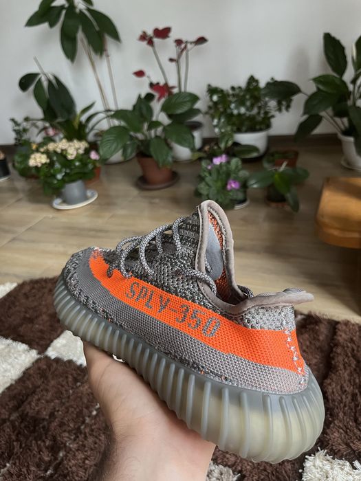 Yeezy 350 Beluga 41